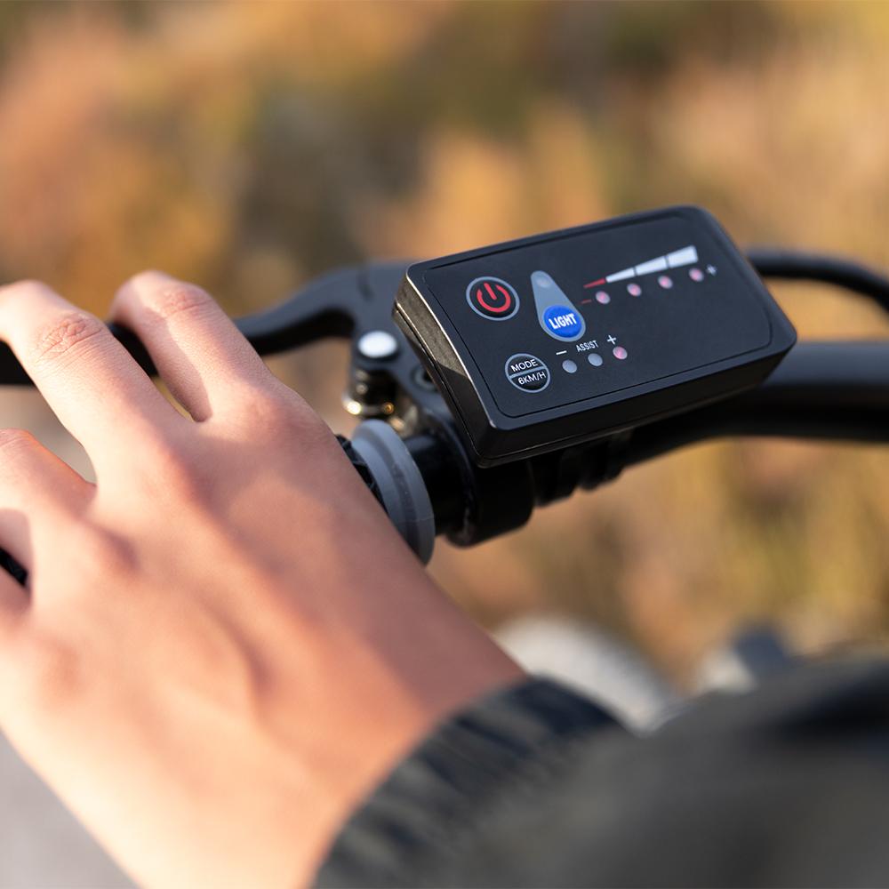 Bicicleta eléctrica e-Xplore